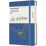 Bunte Moleskine Harry Potter Tageskalender mit Eulenmotiv aus Papier 