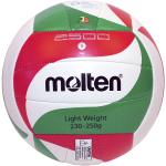 Molten V5M2501-L - Volleyball
