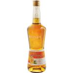 Monin Orange Curacao liqueur 0,7l 24%