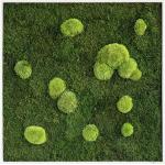 Grüne Moosbilder aus Massivholz 80x80 