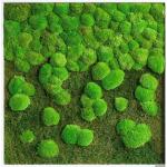 Hellgrüne Nachhaltige Quadratische Moosbilder aus Massivholz 80x80 