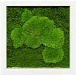 Grüne Moosbilder 30x60 
