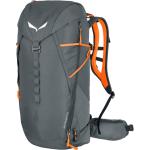 Silberne Unifarbene Salewa Mountain Trainer Herrenrucksäcke 2l mit Reißverschluss mit Außentaschen 