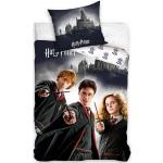 Graue Motiv Harry Potter Harry Motiv Bettwäsche aus Baumwolle trocknergeeignet 135x200 2-teilig 