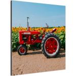 Rote Industrial MuchoWow Alu-Dibond Bilder mit Sonnenblumenmotiv aus Metall 20x30 