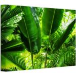 Bunte Tropische Nachhaltige Rechteckige Foto Poster Querformat 40x60 