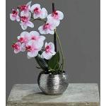 Silberne Künstliche Orchideen 