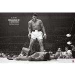 Bunte Muhammad Ali Poster 24x36 