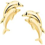 Nickelfreie Goldene Delfin Ohrringe aus Gold 14 Karat mit Zertifikat für Damen 