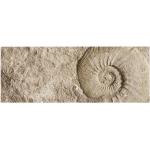 mySPOTTI Badrückwand »Fossil«, BxH:120 cm x 45 cm, beige