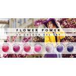 N&BF 7er Farbgel Set Flower Power | 7x5 ml UV Colo