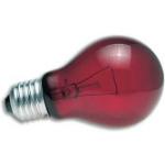 Nachtlampe ZOO MED Nightlight Red Reptile Bulb100 W