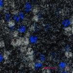 Cobaltblaue Teppichböden & Auslegware aus Filz 