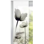 Taupefarbene Blumenmuster neusser collection Gardinen & Vorhänge aus Polyester maschinenwaschbar 