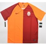 Nike 2018-19 Galatasaray Shirt Trikot Xl