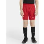 Nike Academy 21 Short Kids Rot Weiss F657 - CW6109 S ( 128-137 )