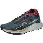 Reduzierte Nike Pegasus Trail 4 Gore Tex Trailrunning Schuhe für Damen Größe 42 mit Absatzhöhe bis 3cm 