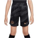 Nike FC Chelsea London TW-Short 2023/2024 Kids Grau F060