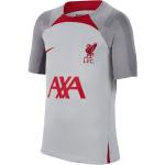 NIKE FC Liverpool Strike Dri-FIT Knit kurzarm Fußballshirt Kinder 015 - wolf grey/smoke grey/tough red M (137-147 cm)