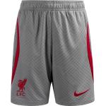 Nike FC Liverpool Strike, Gr. XS, Kinder, grau / rot