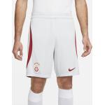 Nike Galatasaray 2023/24 Stadium Away Dri-FIT Fußballshorts (FJ7939) grau