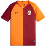 Nike Galatasaray Istanbul Kinder Heim Trikot 2018/19 rot/orange