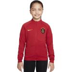 Nike Galatasaray Istanbul Kinder Trainingsjacke Academy Pro rot