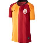 Nike Galatasaray Istanbul Trikot Home 2019/2020 Kids F628