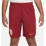 Nike Kinder Galatasaray 2023/24 Stadium Home Dri-FIT Fußballshorts (FJ6346) rot