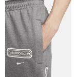 Nike Liverpool FC Standard Issue Nike Fußballhose (DV4995) grau