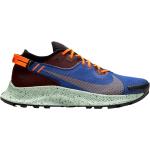 Nike Pegasus Trail 2 Gore Tex Trailrunning Schuhe aus Textil für Herren 