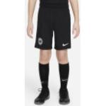 Nike Performance Eintracht Frankfurt Shorts Home Stadium 2021/2022 Kinder schwarz / rot XL