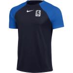 Nike TSV 1860 München Trainingsshirt