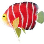 Rote Nobby Aquarium-Dekorationen aus Kunststoff 