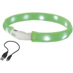 Grüne Nobby Leuchthalsbänder & LED Halsbänder 