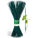 Reduzierte Grüne Tonkinstäbe aus Bambus 