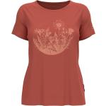 T-shirt s/s crew neck CONCORD burnt sienna - flower graphic M