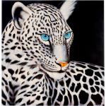 Bunte Mendler Leinwandbilder mit Leopard-Motiv 100x100 