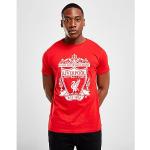 Rote Kurzärmelige FC Liverpool T-Shirts aus Baumwolle für Herren Größe M 