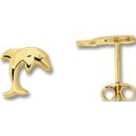 Goldene Motiv Elegante Delfin Ohrringe poliert aus Gelbgold für Damen 