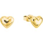 Ohrstecker Gold 375/9 ct in Gold