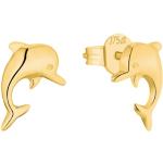 Goldene Amor Delfin Ohrringe aus Gold 10 Karat für Kinder 