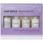 Reduzierte OLAPLEX Shampoos gegen Haarbruch für  strapaziertes Haar für Herren ohne Tierversuche 1-teilig 