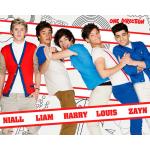 One Direction - Line Up 1D Pop Musik Mini Poster Plakat Druck