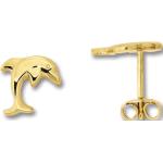Goldene Motiv Elegante One Element Delfin Ohrringe poliert aus Gelbgold mit Zirkonia 