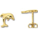 Goldene Elegante One Element Delfin Ohrringe mit Delfinmotiv aus Gold mit Zirkonia für Damen 