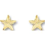 Goldene Sterne Elegante One Element Sternohrstecker aus Gold für Kinder 