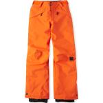 O´NEILL ANVIL PANTS 12519 Puffin`s Bill 104