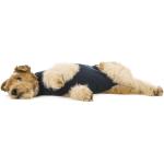 Dunkelblaue Medical Pet Shirts Hundepullover & Hundeshirts 