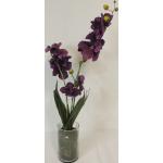 Orchidee im Glaszylinder Kunst-Seidenblume in lila 55 cm hoch